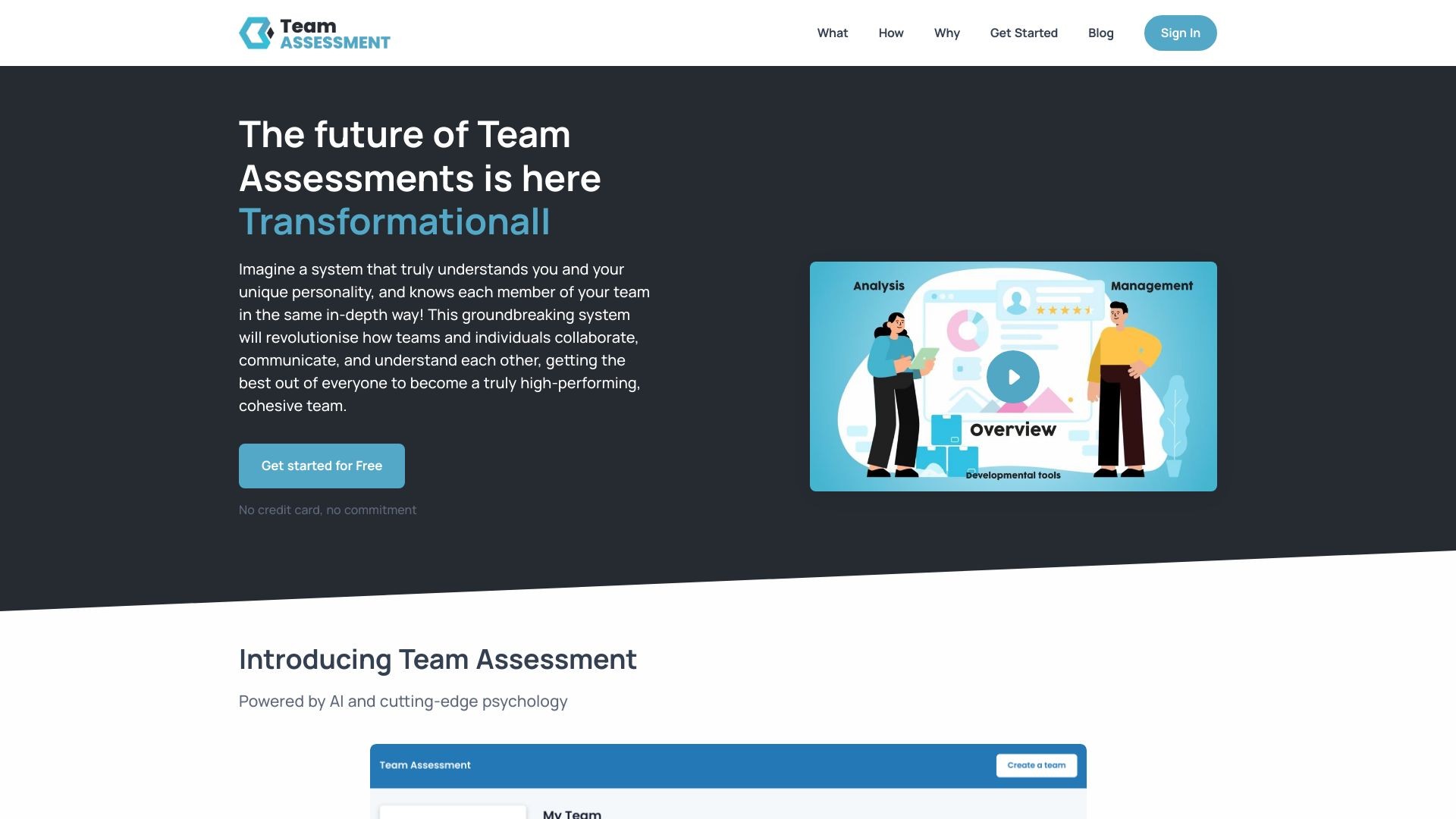 Team Assessment 截图