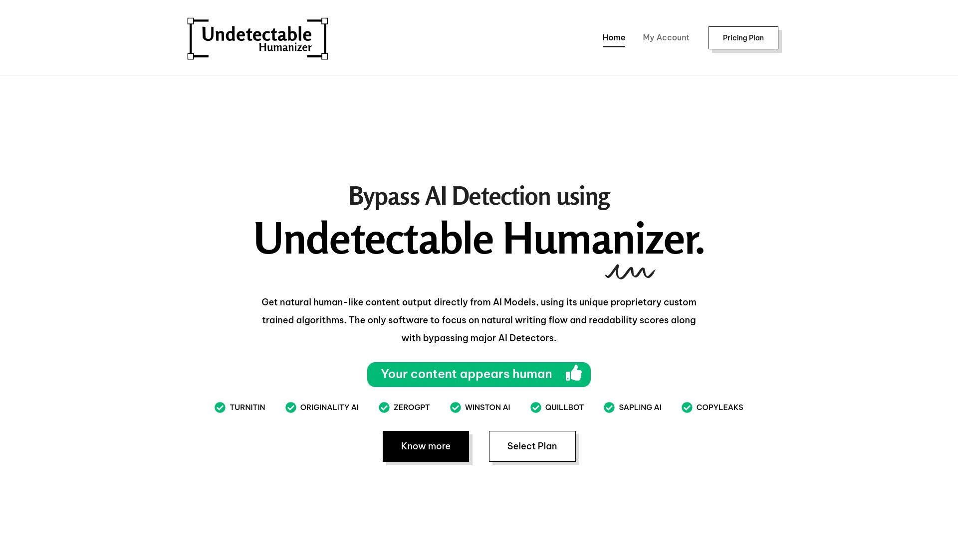 Undetectable AI Humanizer 截图