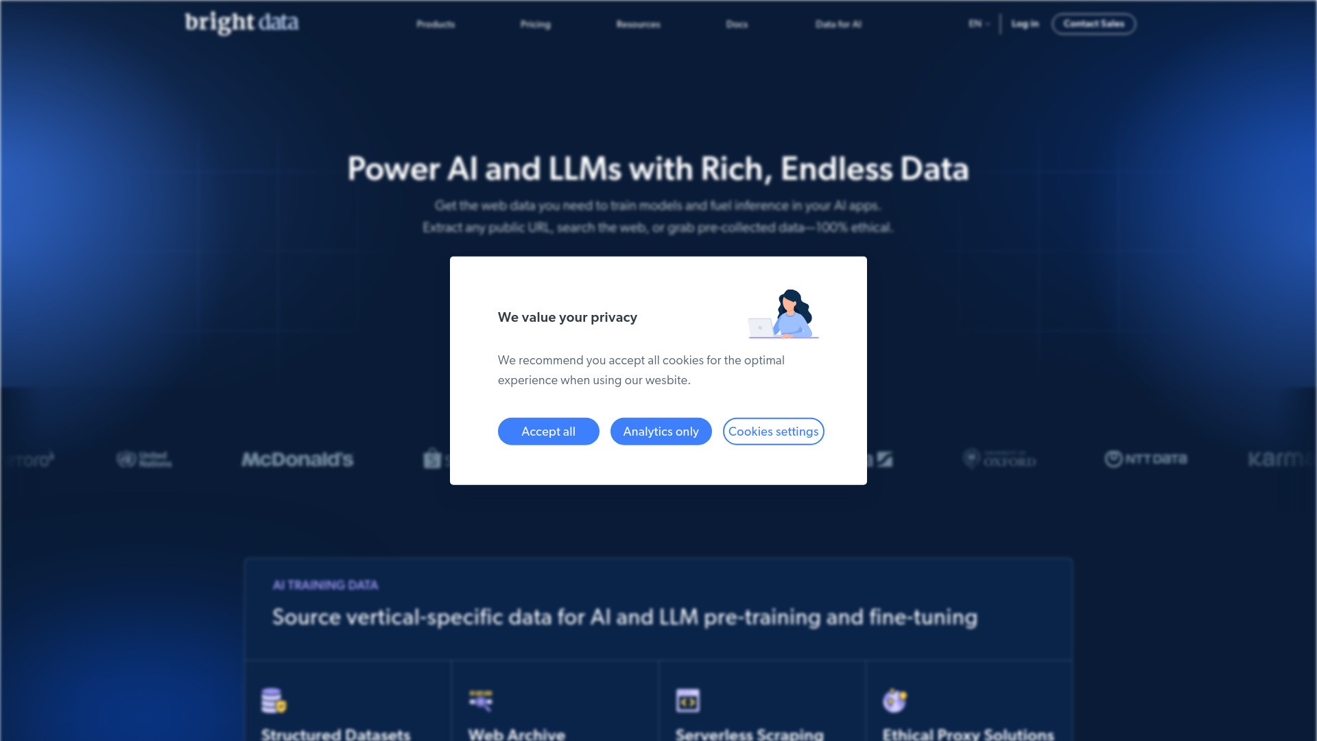 Bright Data Dataset Marketplace 截图