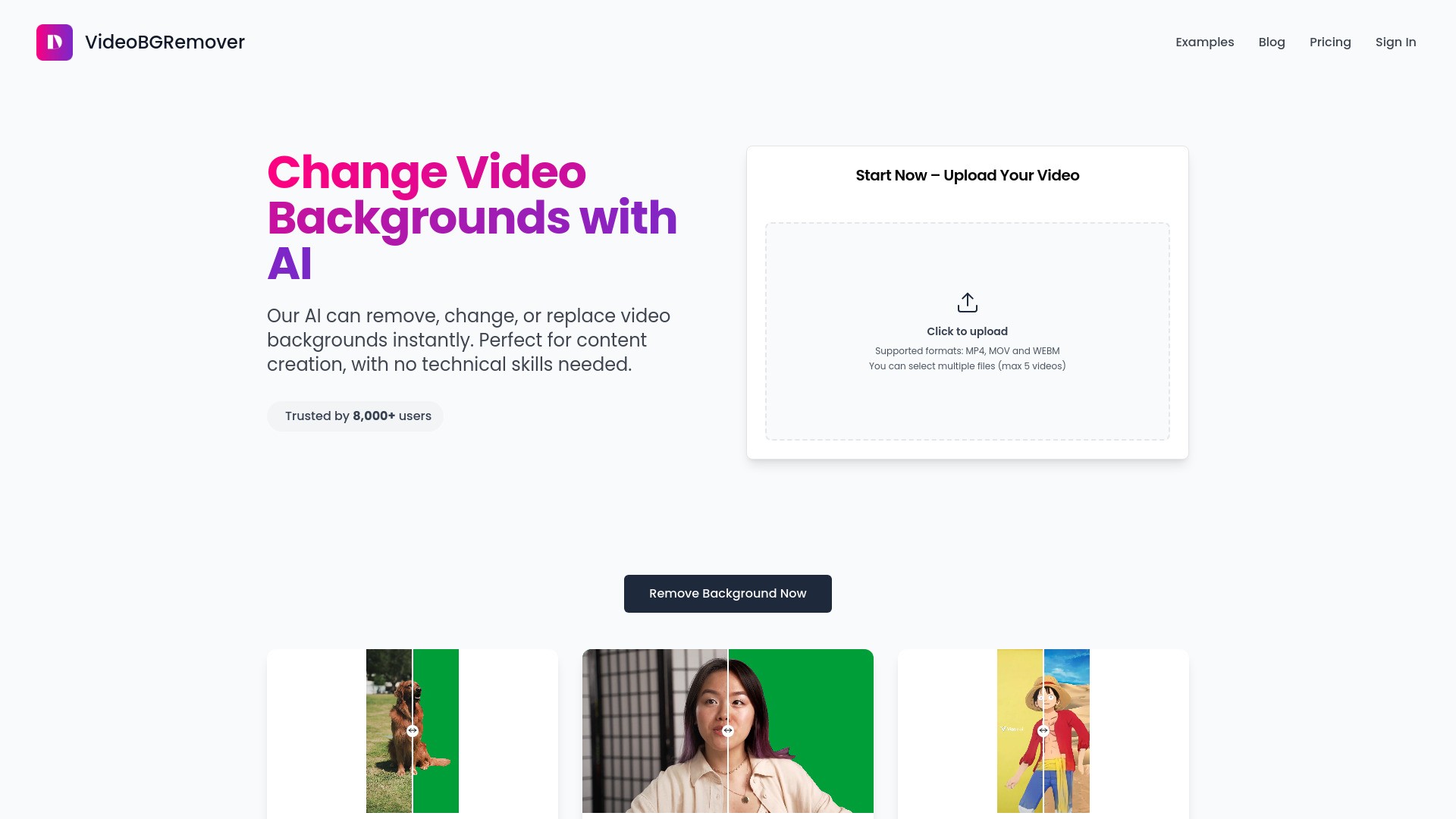 VideoBGRemover 截图