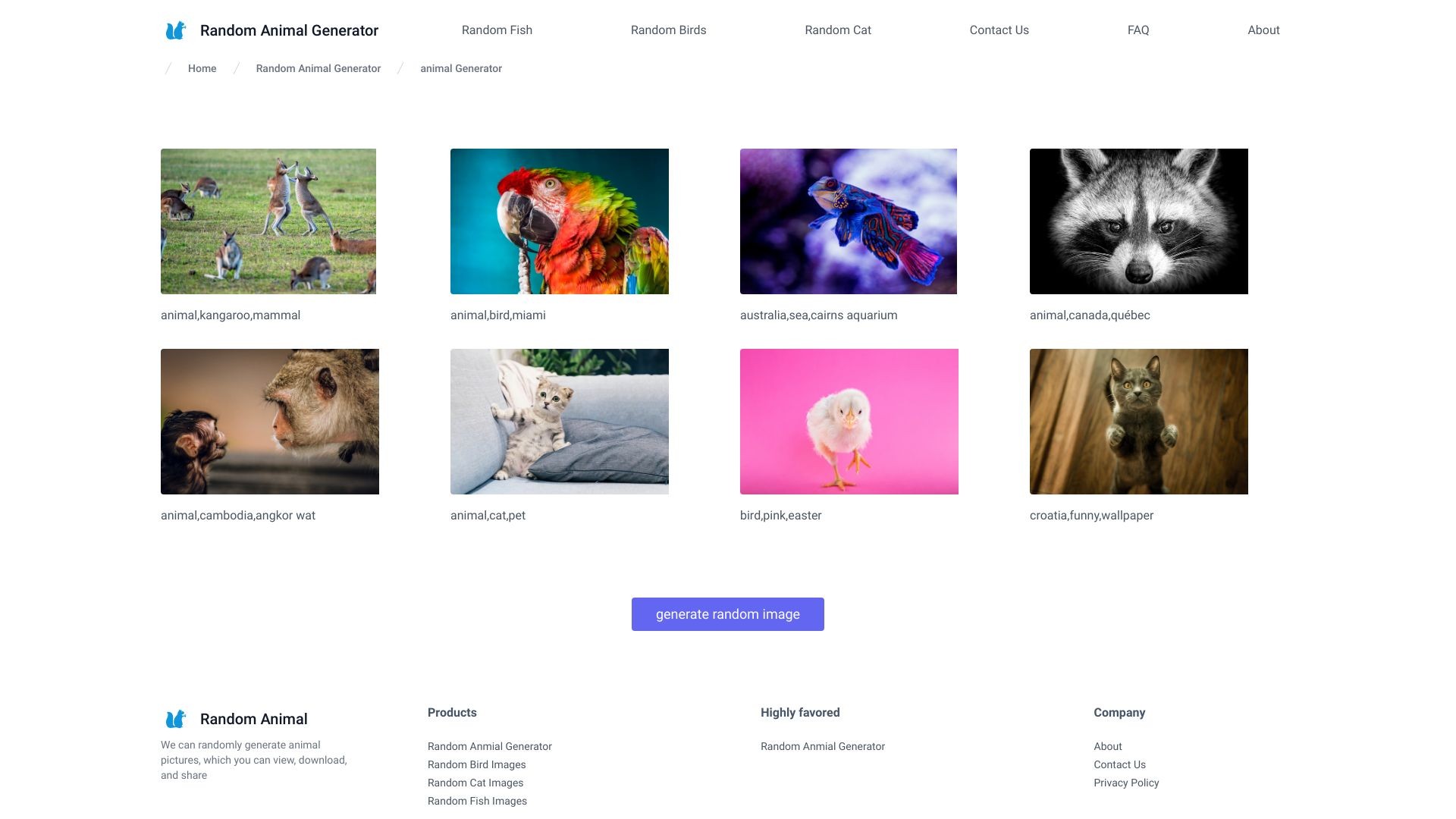 random animal generator 截图