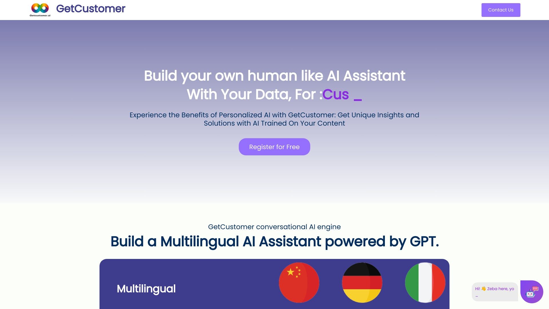 GetCustomer.ai 截图