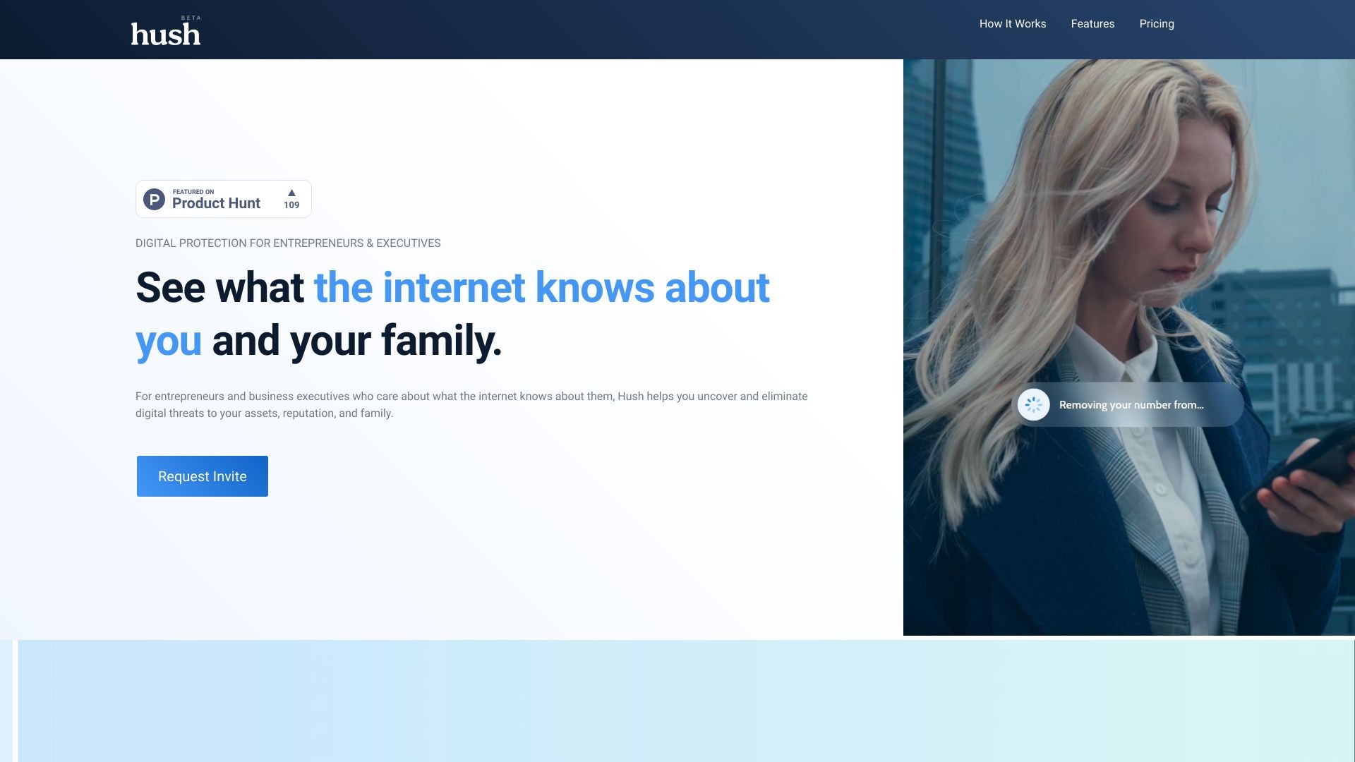 Hush Privacy AI 截图