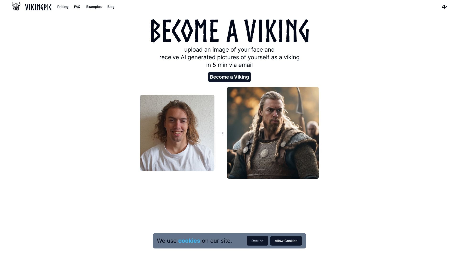 VikingPic 截图