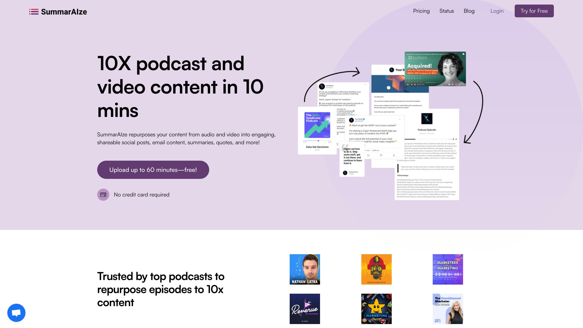 SummarAIze AI 截图