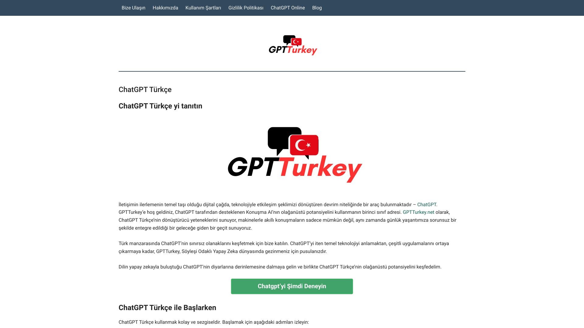 ChatGPT Türkçe 截图