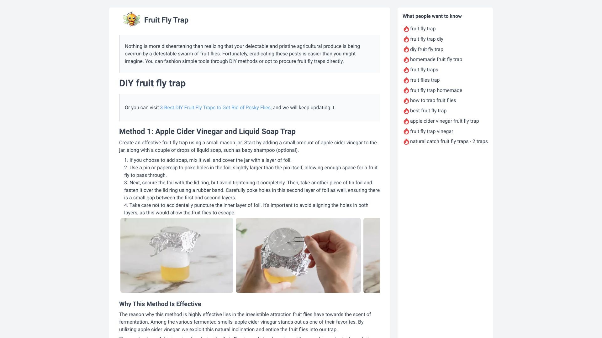 Fruit Fly Trap 截图