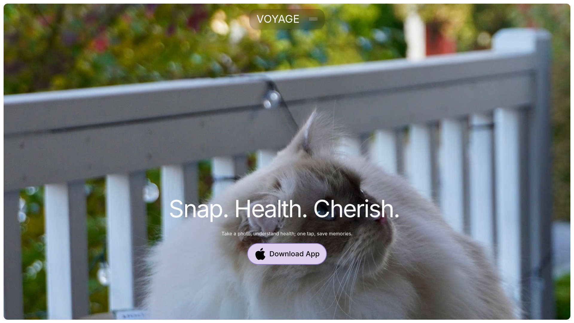 Voyage Pet AI 截图
