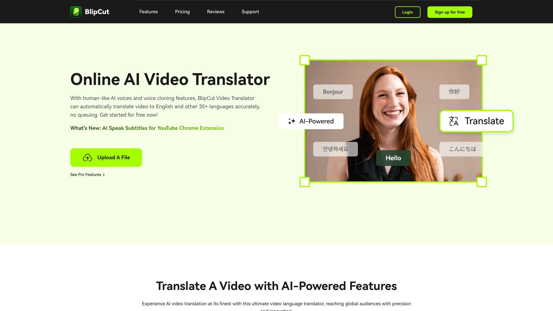 BlipCut AI Video Translator 截图