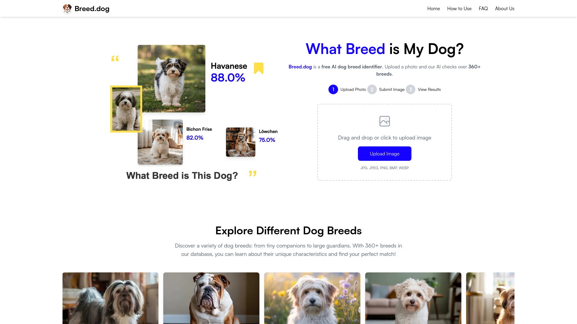 Breed.dog - AI Dog Breed Identifier 截图