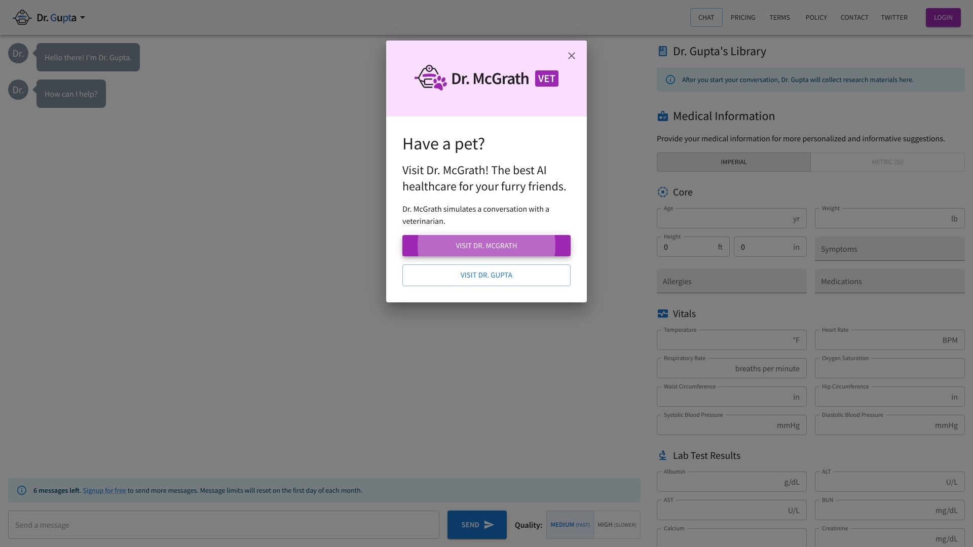 Dr. Gupta: AI Physician Chatbot 截图
