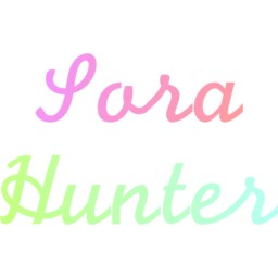 Sora Hunters