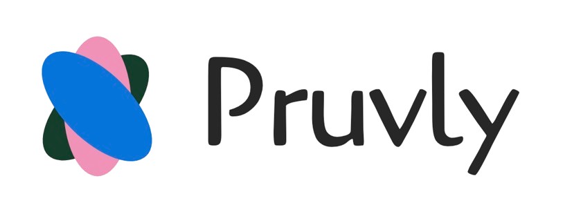 Pruvly AI