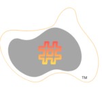 Tech Tool Decode Logo