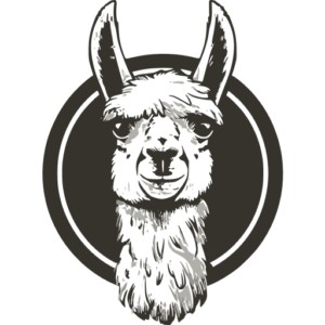 Prompt Llama