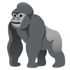 Gorilla Terminal