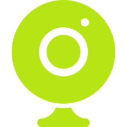 Webcam Motion Capture